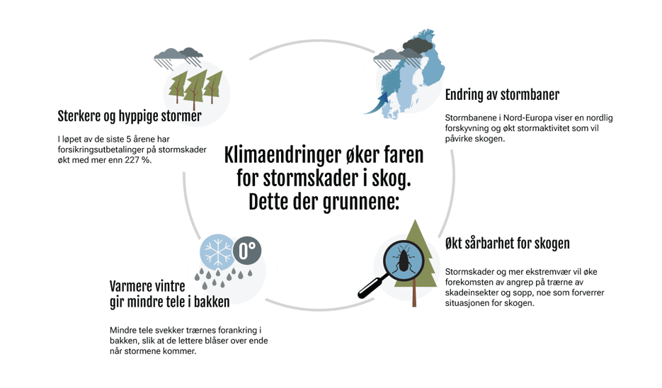 Infografikk-storm-ny